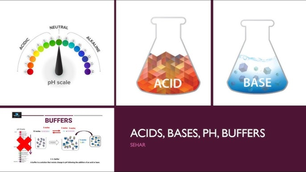 Acids, Bases, pH and Buffer