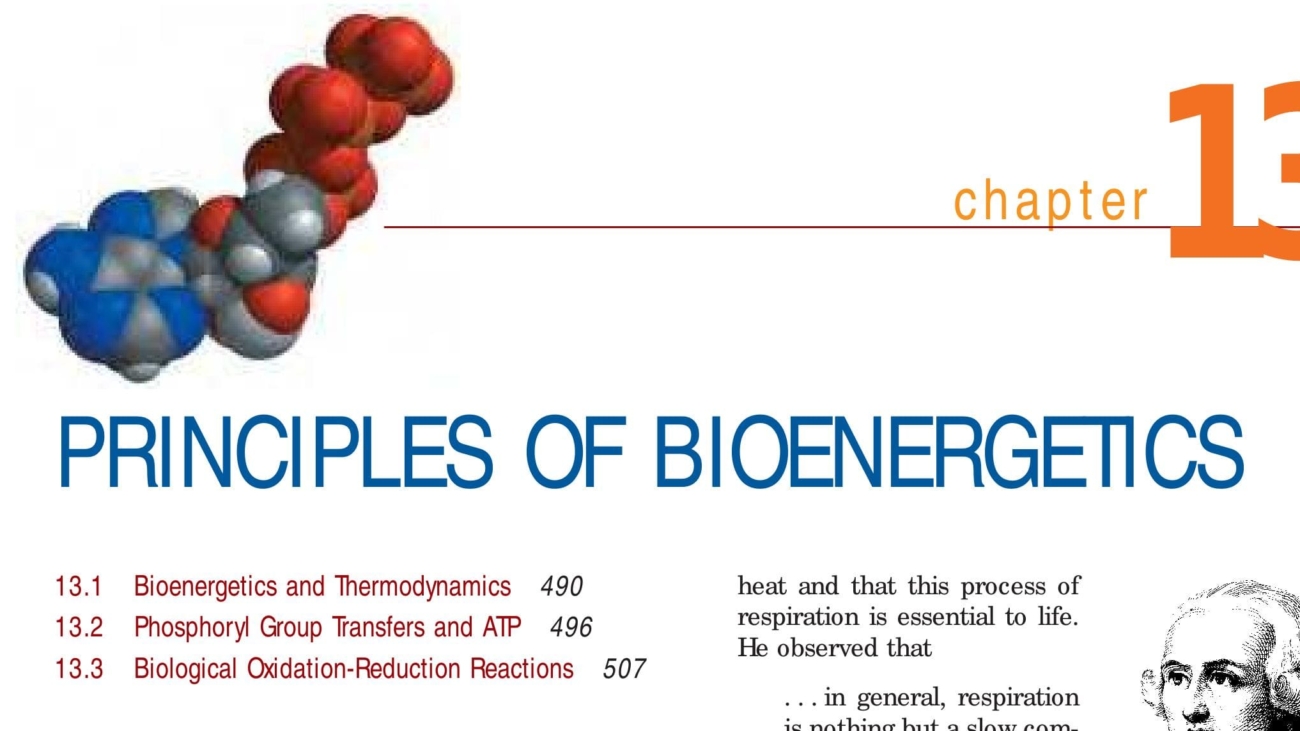 Bioenergetics (Thermodynamics and ATP)