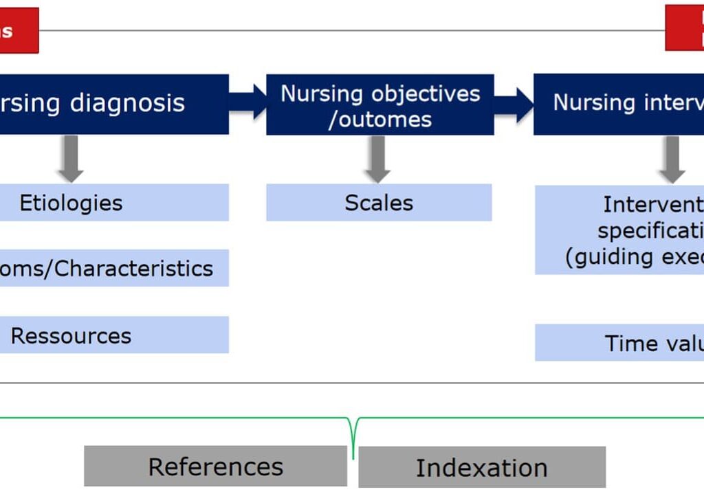 DOCUMENTATION AND THE NURSING LANGUAGE