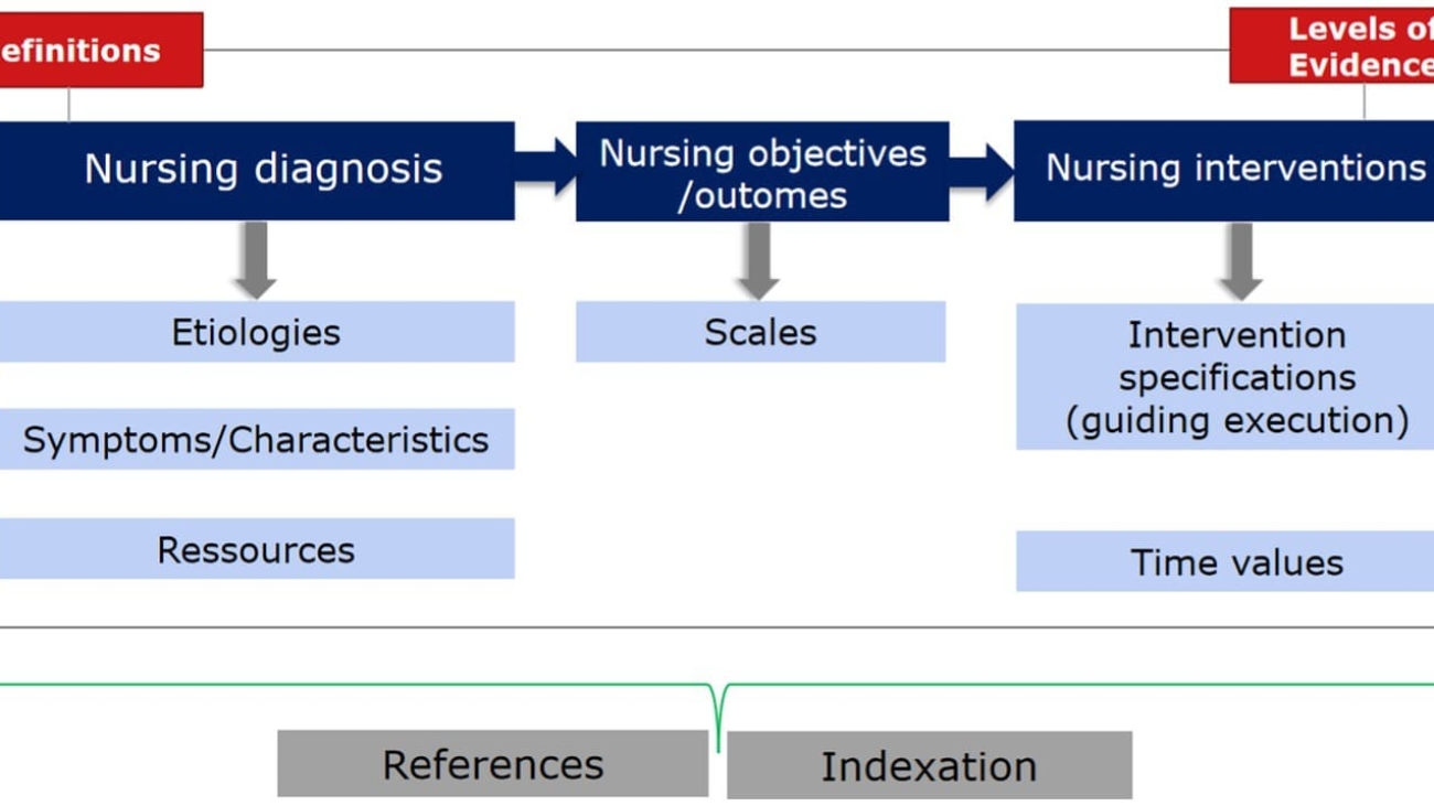 DOCUMENTATION AND THE NURSING LANGUAGE