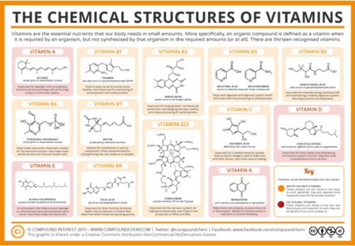 vitamins exam