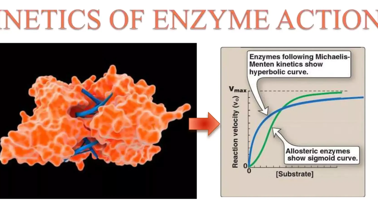 Enzymology and Kinetics