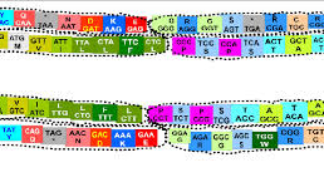 Genetic Code & Chromosomes