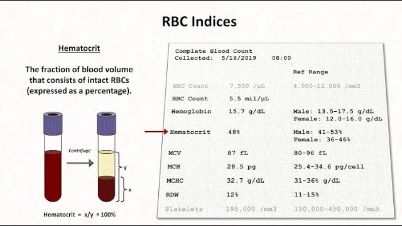 HAEMATOLOGICAL INDICES