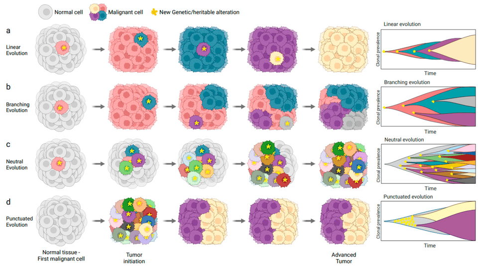Mutations, Genetic Disorders, and Malignancy