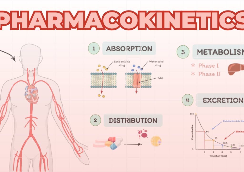 Drug Absorption & Distribution