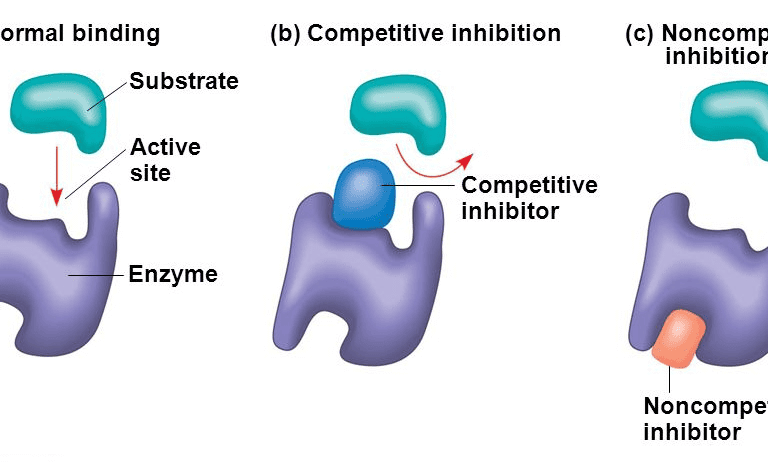 Pharmacology Mid-Term Examination