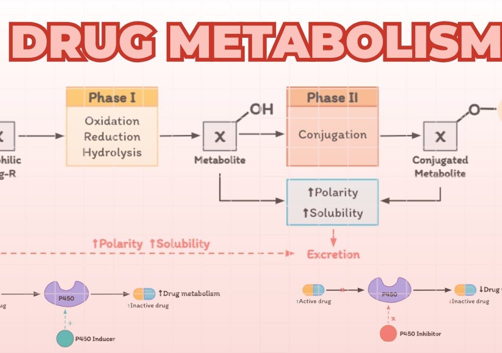 Metabolism of Drugs