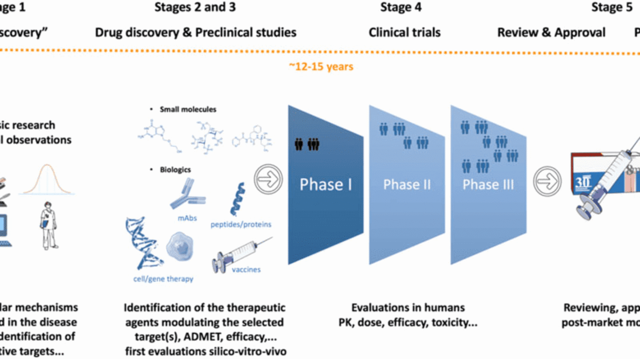 The Drug Development Process