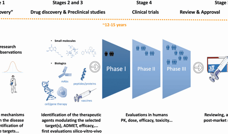 The Drug Development Process