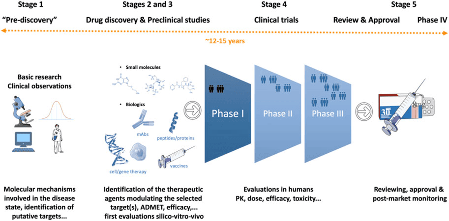 The Drug Development Process