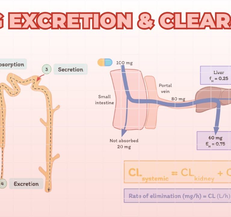 Elimination & Clearance of Drugs