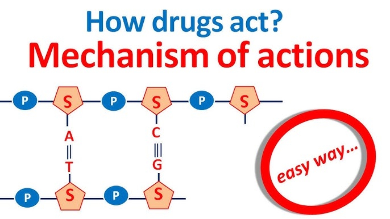 mechanism of action