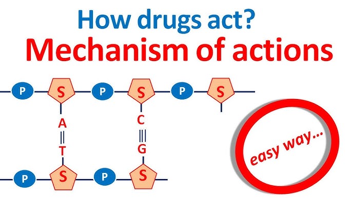 Mechanism of Drug Action