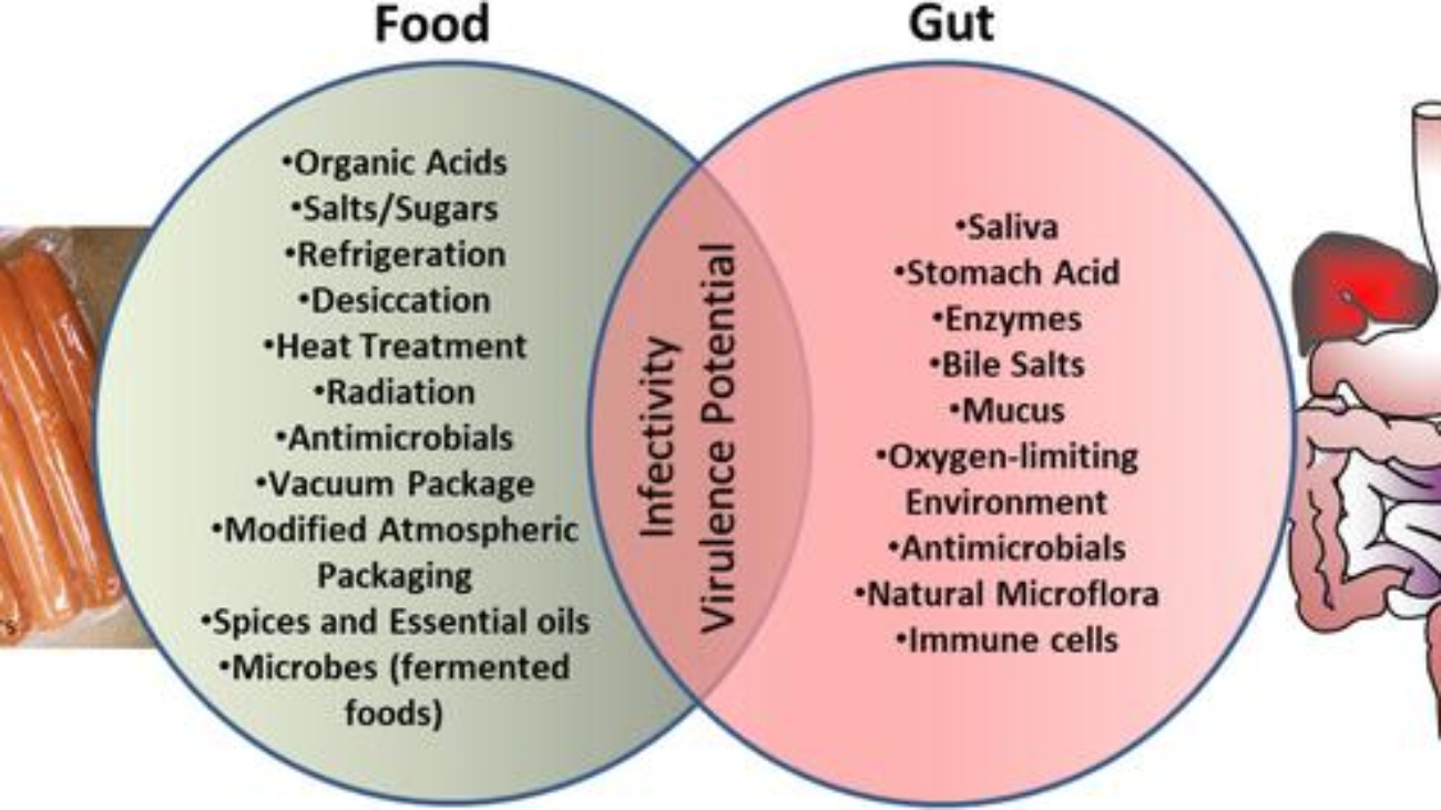 Gastro-intestinal Infections (1)