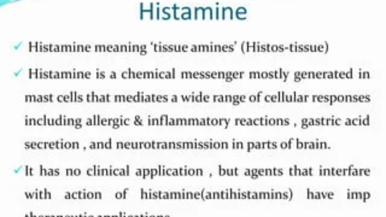 Histamine Pharmacology