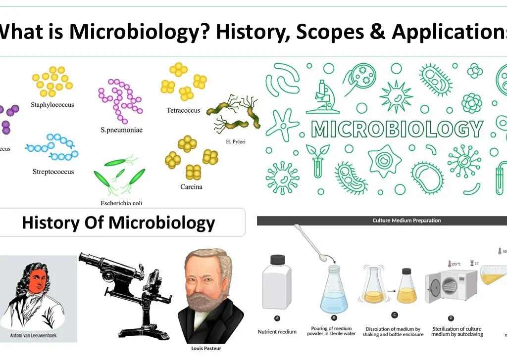 History & Diagnostics in Microbiology