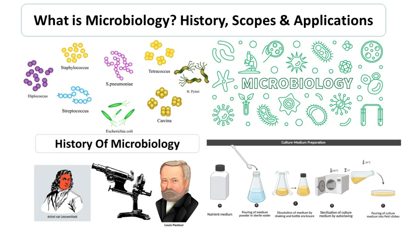 History & Diagnostics in Microbiology