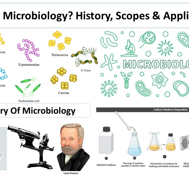 History & Diagnostics in Microbiology