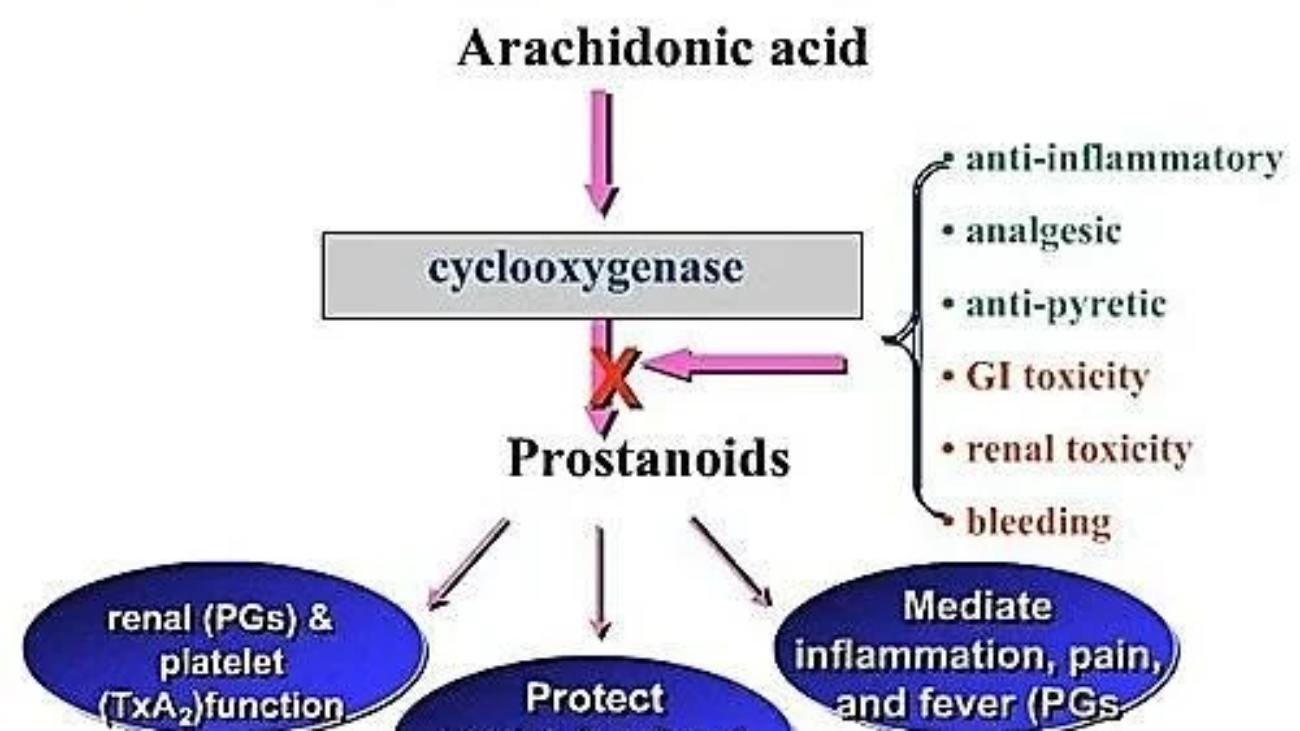 NSAIDs & Prostanoids
