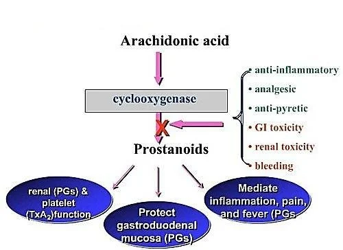 NSAIDs & Prostanoids