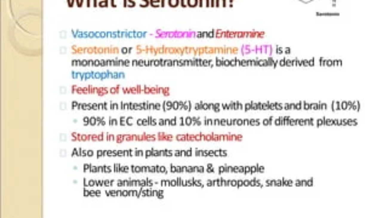 Serotonin Pharmacology