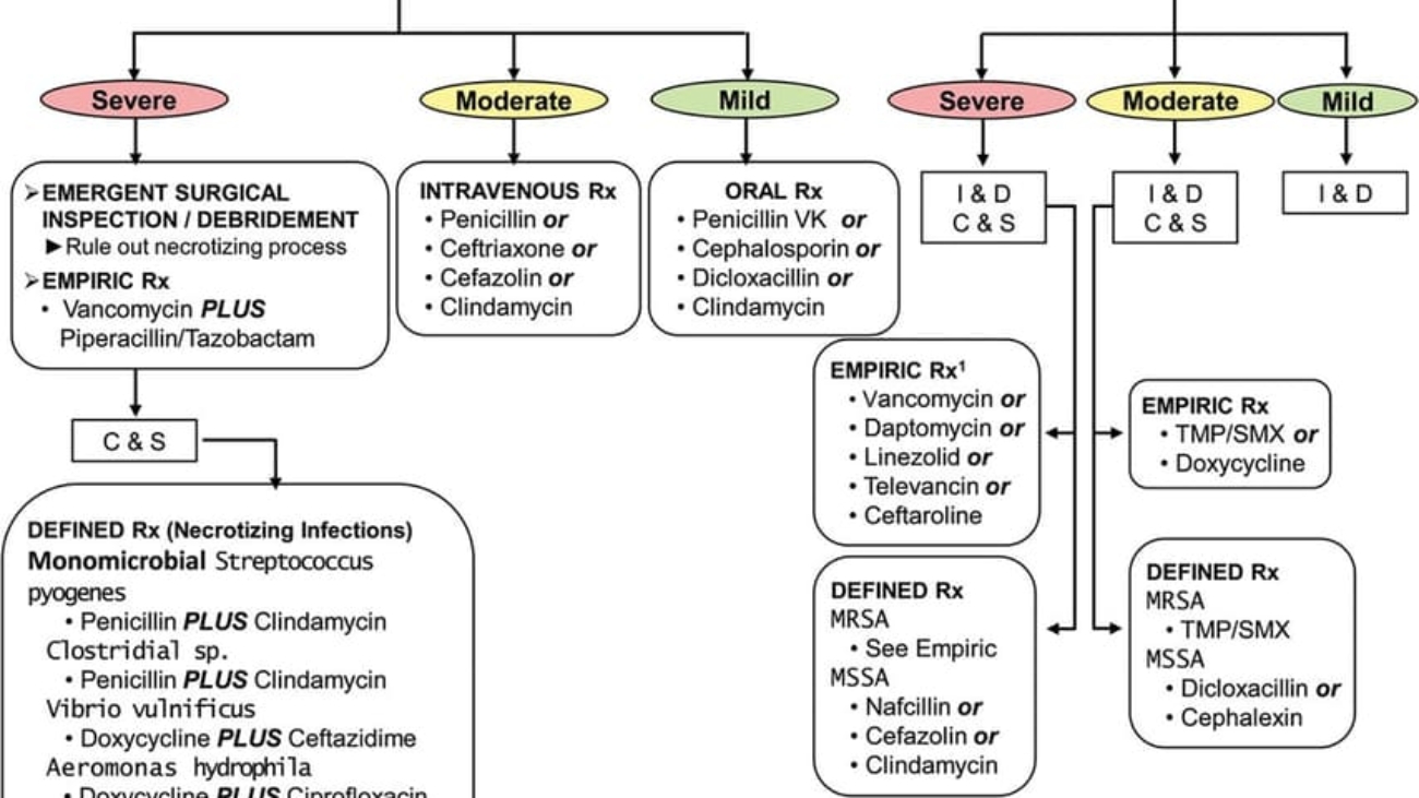 Skin and Soft Tissue Infections (SSTIs)