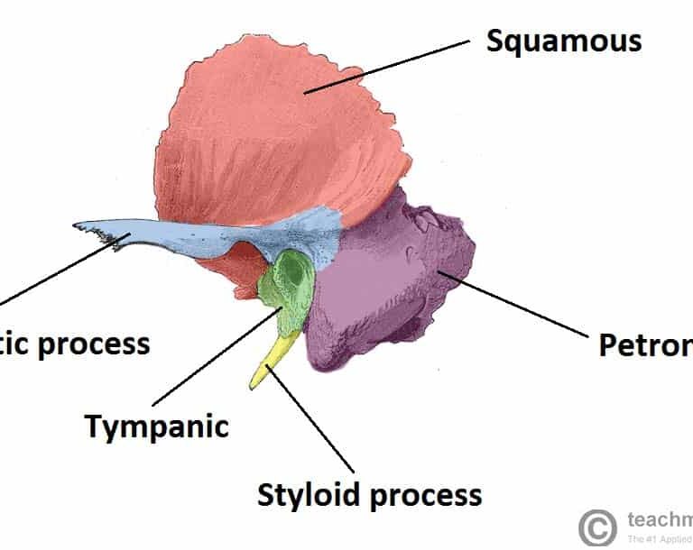 Types of Epidemiology: Descriptive and Analytical Epidemiology