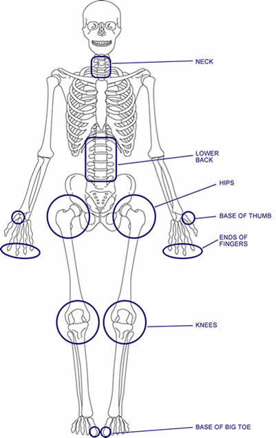 Definition of terms: Joint, Articulation