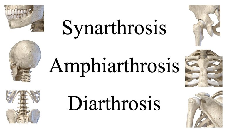 Types of joints