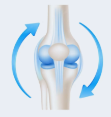 Functions of a joint