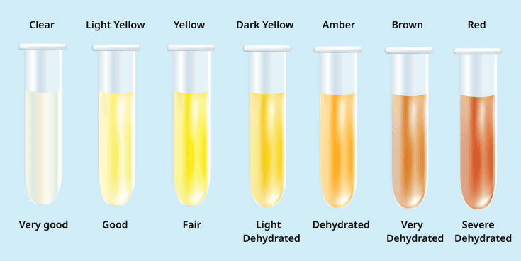 Characteristics of urine