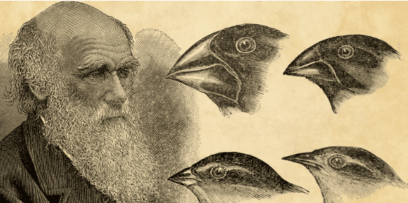 Figure 4.1: Charles Darwin (1809–1882) and his finches, illustrating the principle of natural selection through adaptive variation