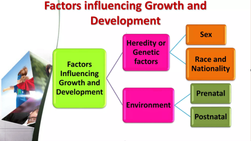 Figure 1: Classification of Factors Influencing Growth and Development (Heredity, Sex, Environment, Postnatal)
