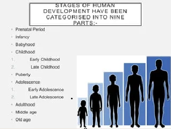 Figure 2: Classification of Human Development Stages (Hurlock Classification)