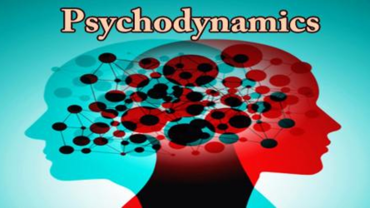 Cognitive, Biological, and Psychodynamic/psycho-analytic theory,Application of schools of thought to health care