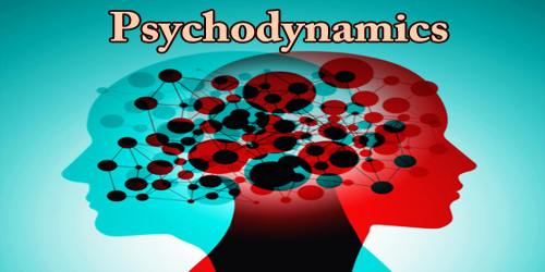 Cognitive, Biological, and Psychodynamic/psycho-analytic theory,Application of schools of thought to health care