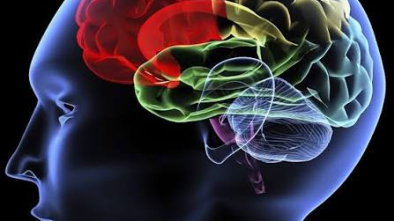 Definition of medical psychology