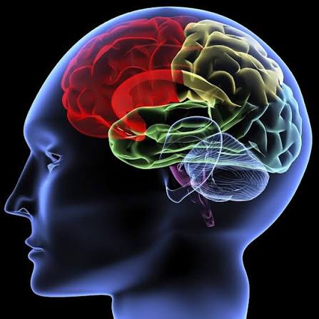 Definition of medical psychology