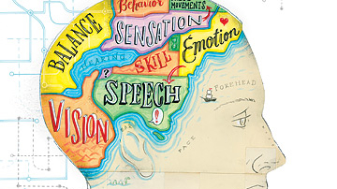 Definition of mental processes & how they affect behavior