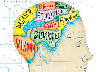 Definition of mental processes & how they affect behavior