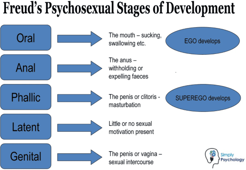 Figure 1: Freud's Five Psychosexual Stages of Development and associated erogenous zones