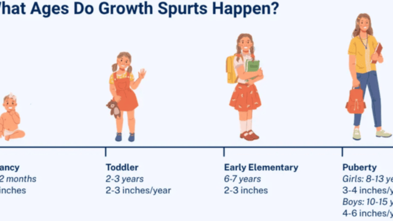 General physical stages of growth (
