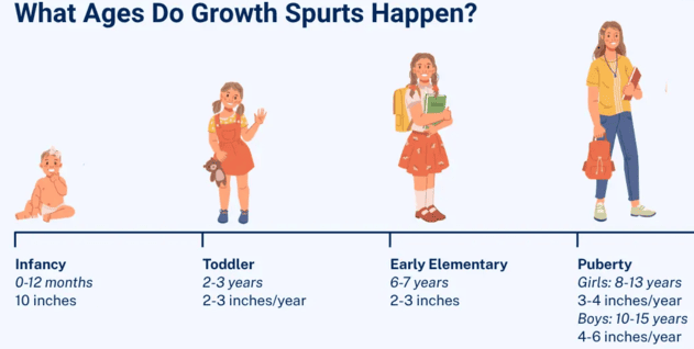 General physical stages of growth