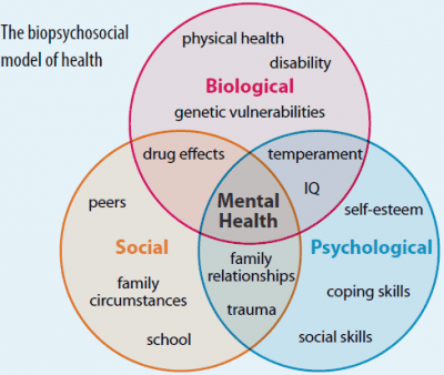 Figure 1.2: Interaction of biological, psychological, and social factors in mental health.