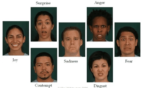 Figure 3.5: Paul Ekman's seven universal facial expressions of emotion
