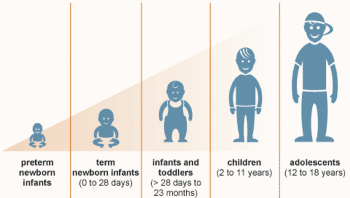 Figure 1: Physical Growth Stages from Preterm Infancy through Adolescence