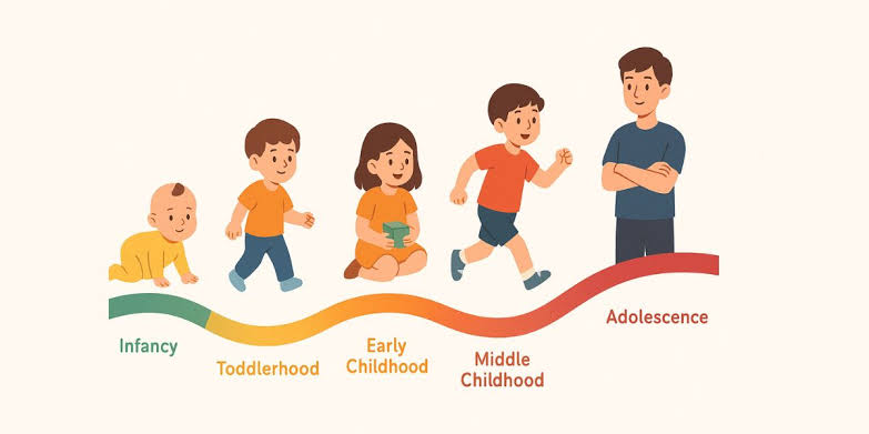 Figure 1: Stages of Child Development from Infancy through Adolescence