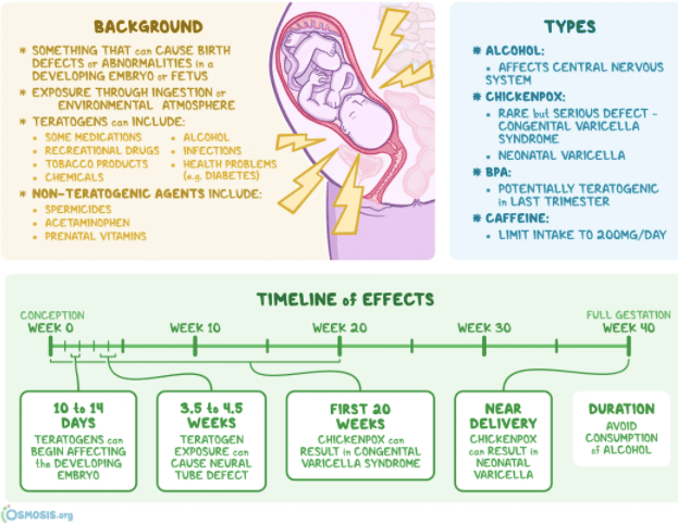 Figure 1. Teratogen types and timeline of effects during pregnancy. Teratogens include alcohol, infections, medications, and chemicals. Critical periods vary by organ system.