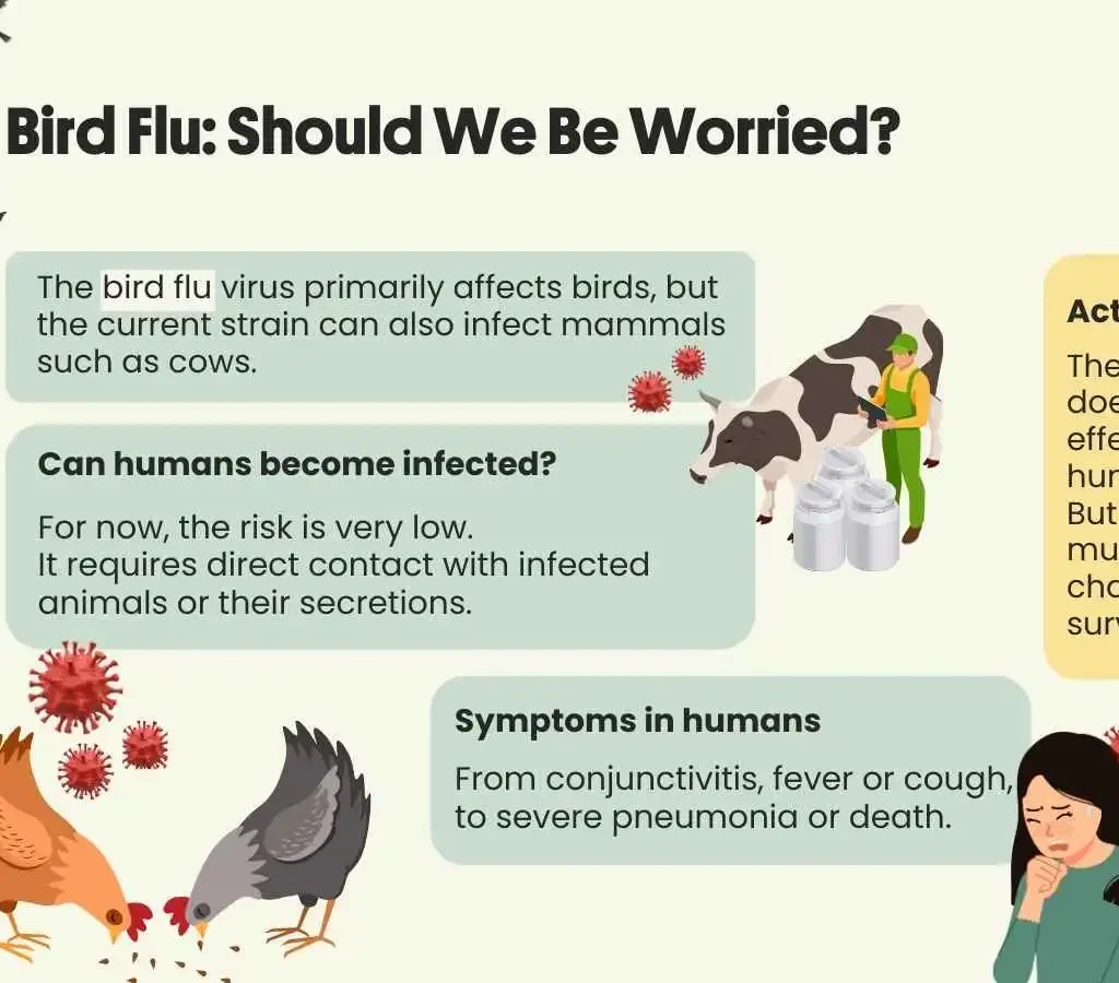 Avian Influenza